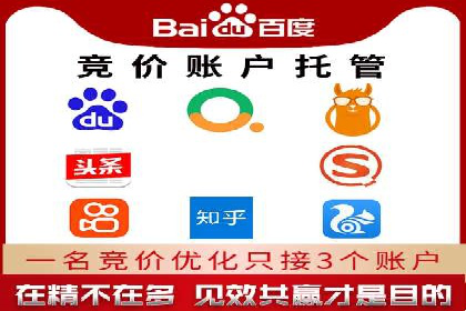 竞价推广公司案例揭秘：如何利用数据分析提升广告效果